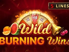 Wild Burning Wins 5 lines icon